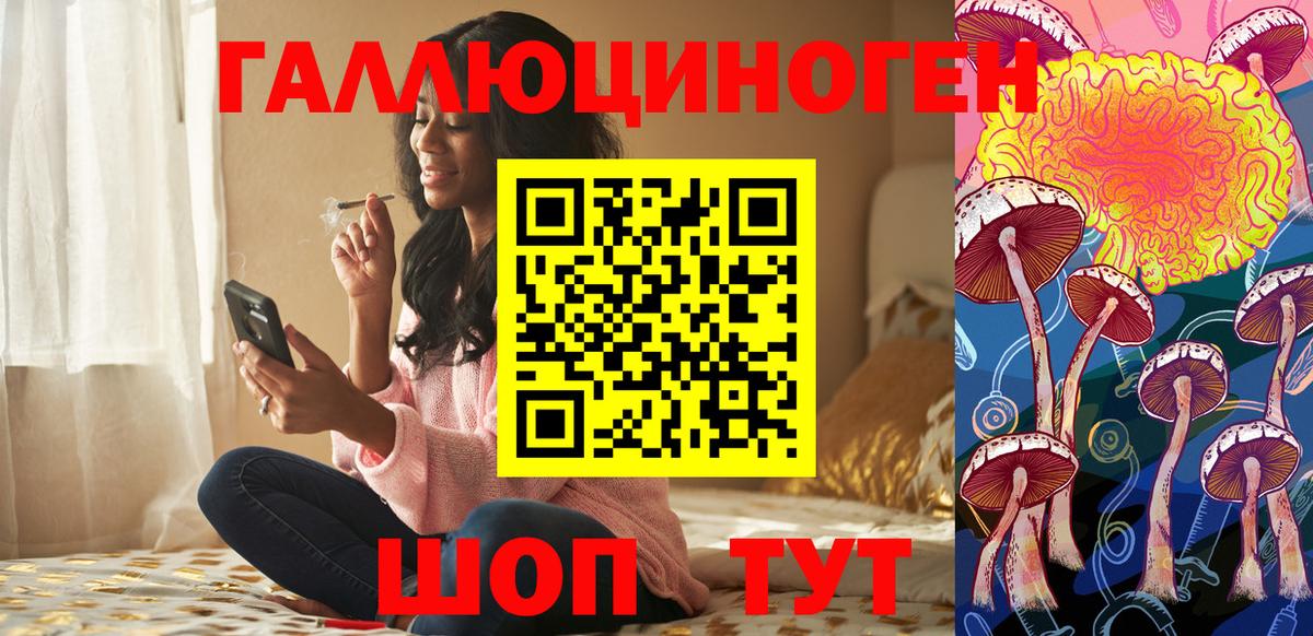 Псилоцибиновые грибы Psilocybine cubensis Кизилюрт