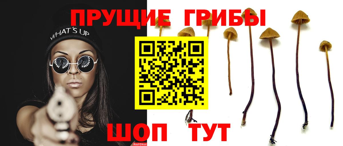 наркота  Галлюциногенные грибы прущие грибы  Вход с VPN  Кизилюрт  Галлюциногенные грибы ЛСД 