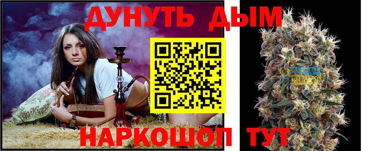 Бошки Шишки ГИДРОПОН  Бошки Шишки Amnesia  Канабис гибрид  Вход с VPN  Кизилюрт 